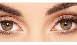 Eylure London Lash And Stash Date Night Eyelashes - Image 4