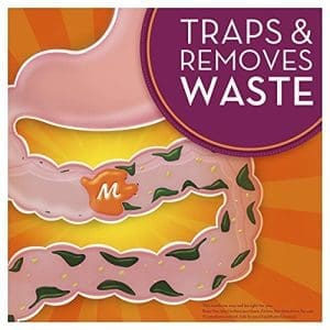 Meta Align Daily Ibs Probiotic Capsules - Image 7